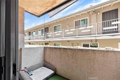 Two private patios and the largest floor plan in the complex - photo 8