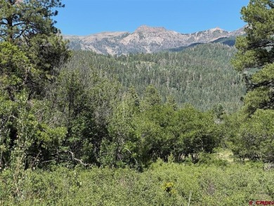 (private lake, pond, creek) Lot For Sale in Pagosa Springs Colorado