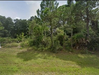 Port Charlotte Waterway Area Lot For Sale in Port Charlotte Florida
