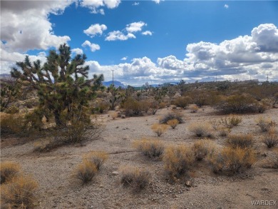 Lake Mead Lot For Sale in Meadview Arizona