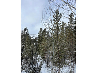 Columbine Lake Lot For Sale in Grand Lake Colorado