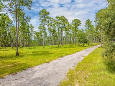 This tract offers an extraordinary opportunity to own 635+/- - photo 11