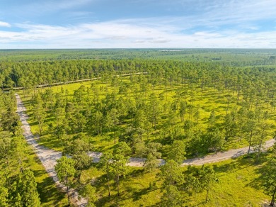 This tract offers an extraordinary opportunity to own 635+/- - photo 12
