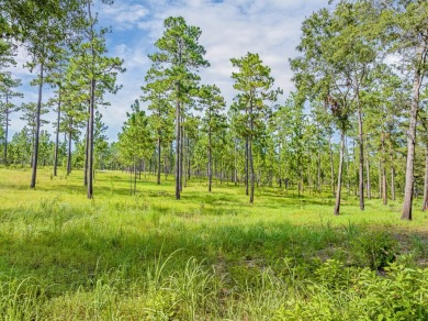 This tract offers an extraordinary opportunity to own 635+/- - photo 14