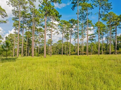 This tract offers an extraordinary opportunity to own 635+/- - photo 17