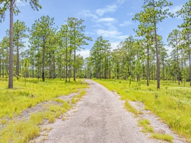 This tract offers an extraordinary opportunity to own 635+/- - photo 19