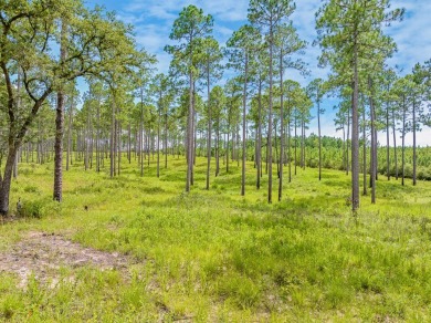 This tract offers an extraordinary opportunity to own 635+/- - photo 26