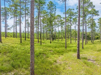 This tract offers an extraordinary opportunity to own 635+/- - photo 28