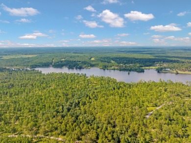 This tract offers an extraordinary opportunity to own 635+/- - photo 29