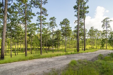 This tract offers an extraordinary opportunity to own 635+/- - photo 30