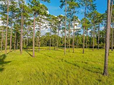 This tract offers an extraordinary opportunity to own 635+/- - photo 34