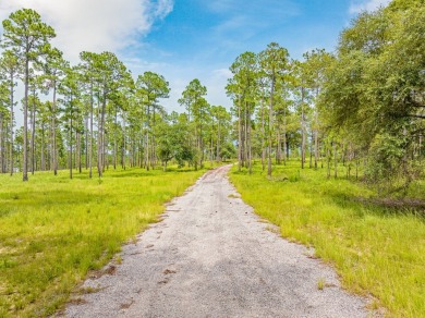 This tract offers an extraordinary opportunity to own 635+/- - photo 37