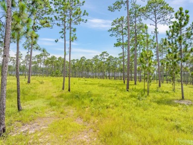 This tract offers an extraordinary opportunity to own 635+/- - photo 39