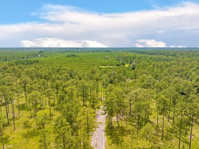 This tract offers an extraordinary opportunity to own 635+/- - photo 40