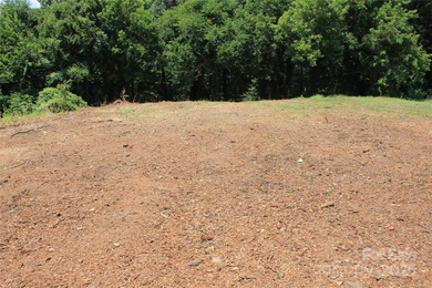 Lake Wylie Lot For Sale in Belmont North Carolina