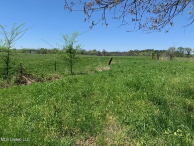 Lake Acreage For Sale in Hernando, Mississippi
