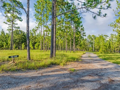 This tract offers an extraordinary opportunity to own 635+/- - photo 41