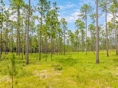 This tract offers an extraordinary opportunity to own 635+/- - photo 43