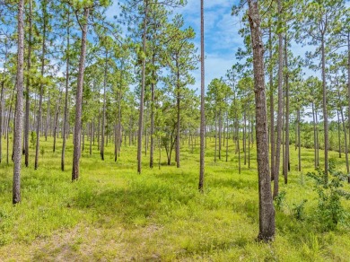 This tract offers an extraordinary opportunity to own 635+/- - photo 45
