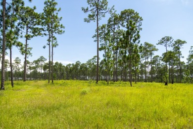 This tract offers an extraordinary opportunity to own 635+/- - photo 47