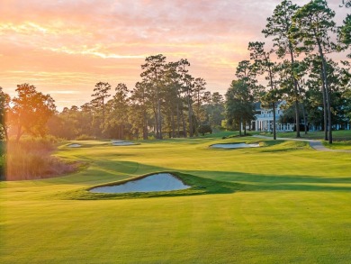 This tract offers an extraordinary opportunity to own 635+/- - photo 50