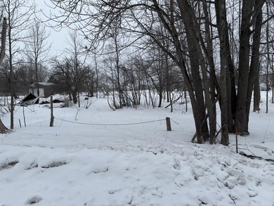 Big Manistique Lake Lot For Sale in Mcmillan Michigan