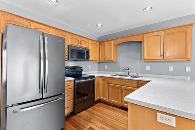 Condo MLS #50322635. Perfect for Comfortable Living and easy - photo 6