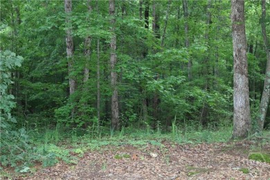 Lake Lot For Sale in Colbert, Georgia
