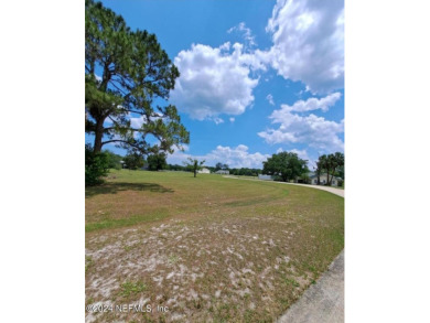 (private lake, pond, creek) Acreage For Sale in Crescent City Florida