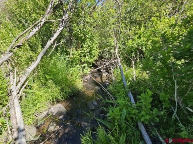 (private lake, pond, creek) Lot For Sale in South Fork Colorado