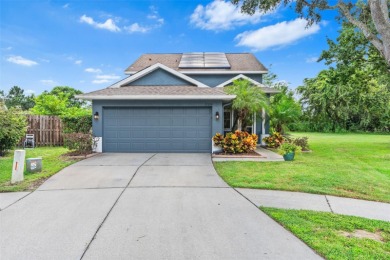 Lake Home For Sale in Land O Lakes, Florida