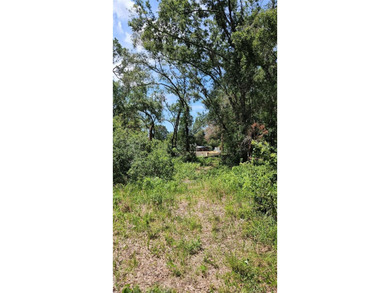 High and dry Buildeable residential lot. Explore the potential - photo 3