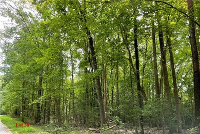 Great Wicomico River Acreage For Sale in Heathsville Virginia