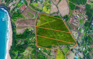 Discover this exceptional offering-approximately 23.5 acres of - photo 3
