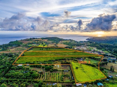 Discover this exceptional offering-approximately 23.5 acres of - photo 4