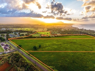 Discover this exceptional offering-approximately 23.5 acres of - photo 8