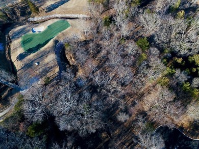 Lake Lot For Sale in Gordonville, Texas