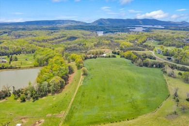 This magnificent 111+ acre farm boasts 2 homes and many - photo 2