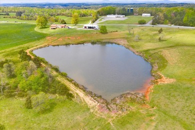 This magnificent 111+ acre farm boasts 2 homes and many - photo 4