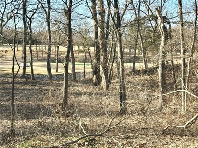 BEST LOT IN ROCK CREEK RESORT - OVER AN ACRE ON THE 17th GREEN - - photo 8