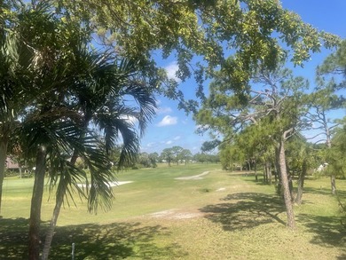 Rare opportunity in the Ironwood neighborhood of Mariner Sands - photo 4