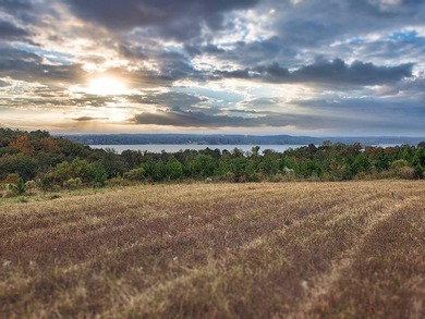 Lake Eufaula / Walter F. George Acreage For Sale in Georgetown Georgia