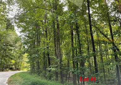 Great Wicomico River Acreage For Sale in Heathsville Virginia