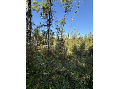 Private parcel ideal for bird and deer hunting, accessed by a - photo 1