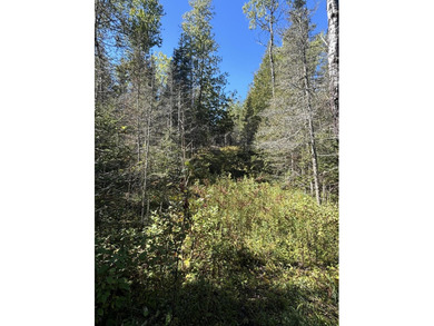 Private parcel ideal for bird and deer hunting, accessed by a - photo 2