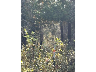 Private parcel ideal for bird and deer hunting, accessed by a - photo 4