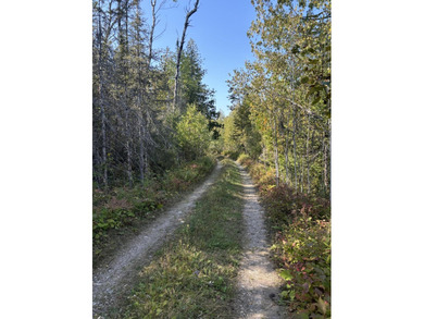Private parcel ideal for bird and deer hunting, accessed by a - photo 5