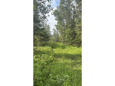 Private parcel ideal for bird and deer hunting, accessed by a - photo 7