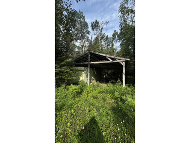 Private parcel ideal for bird and deer hunting, accessed by a - photo 10