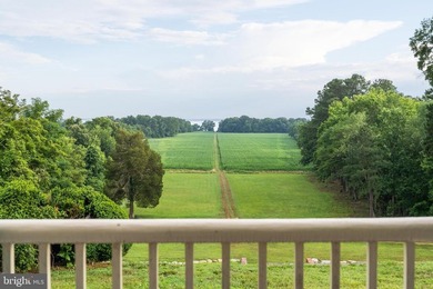 LUXURY PROPERTY AUCTION: 28 July-12 August. Accepting starting - photo 33